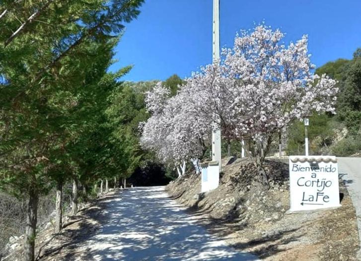 منزل الضيف مونتيفريو  في Cortijo La Fe المظهر الخارجي الصورة